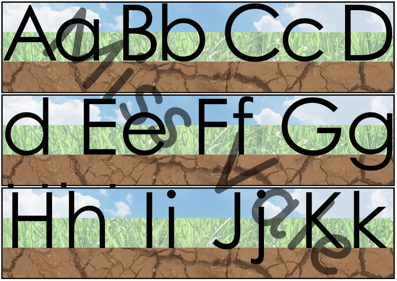 Tipos de Letra y Caligrafía | Pósters de Alfabeto para el Aula y Hoja de Muestra