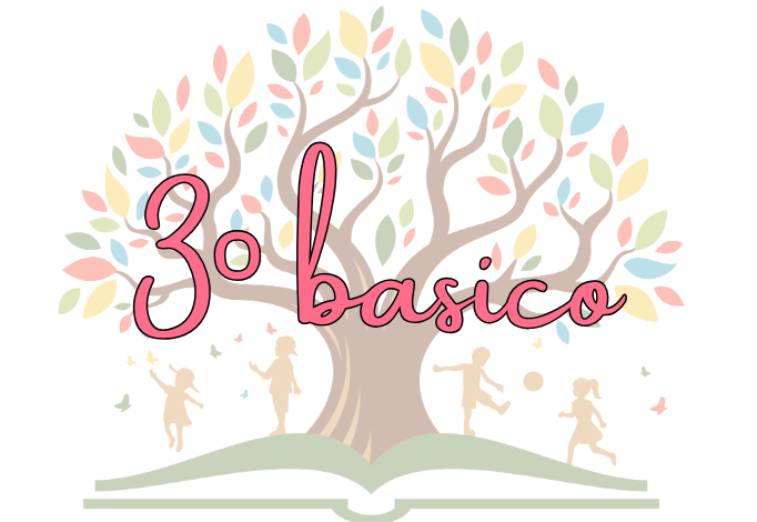 3º básico