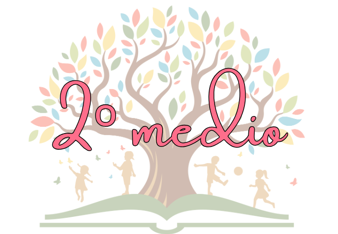 2º medio