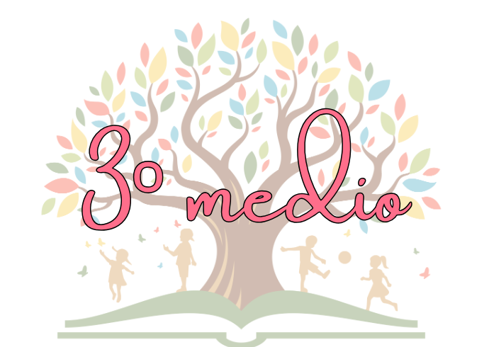 3º medio